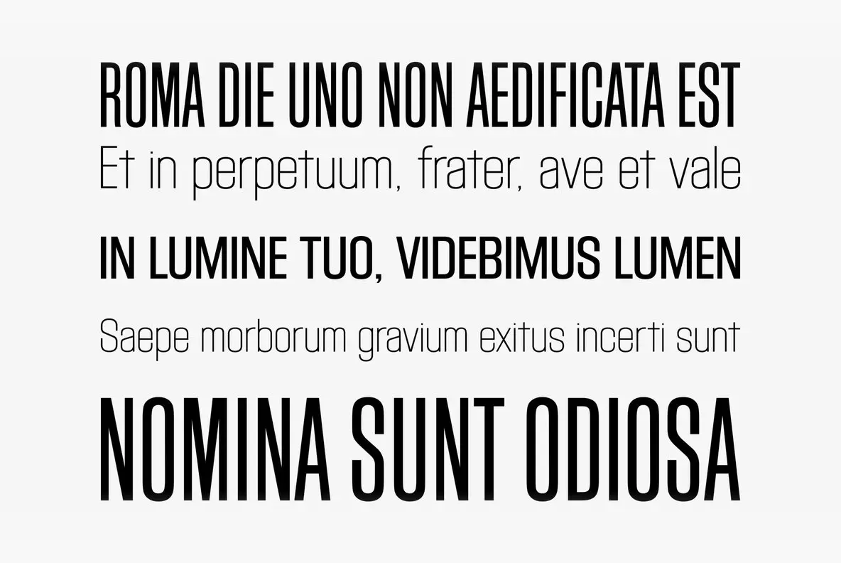 Block Gothic – MisterFonts