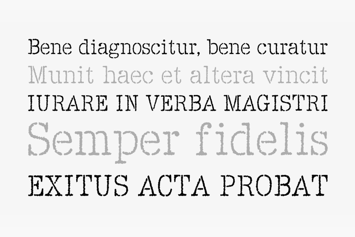Interview Script Font Sayer Interview – MisterFonts