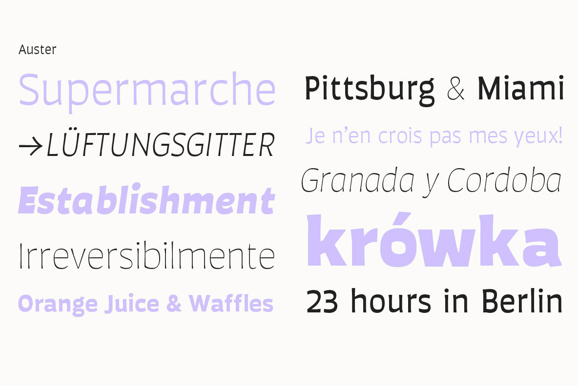 Auster – MisterFonts