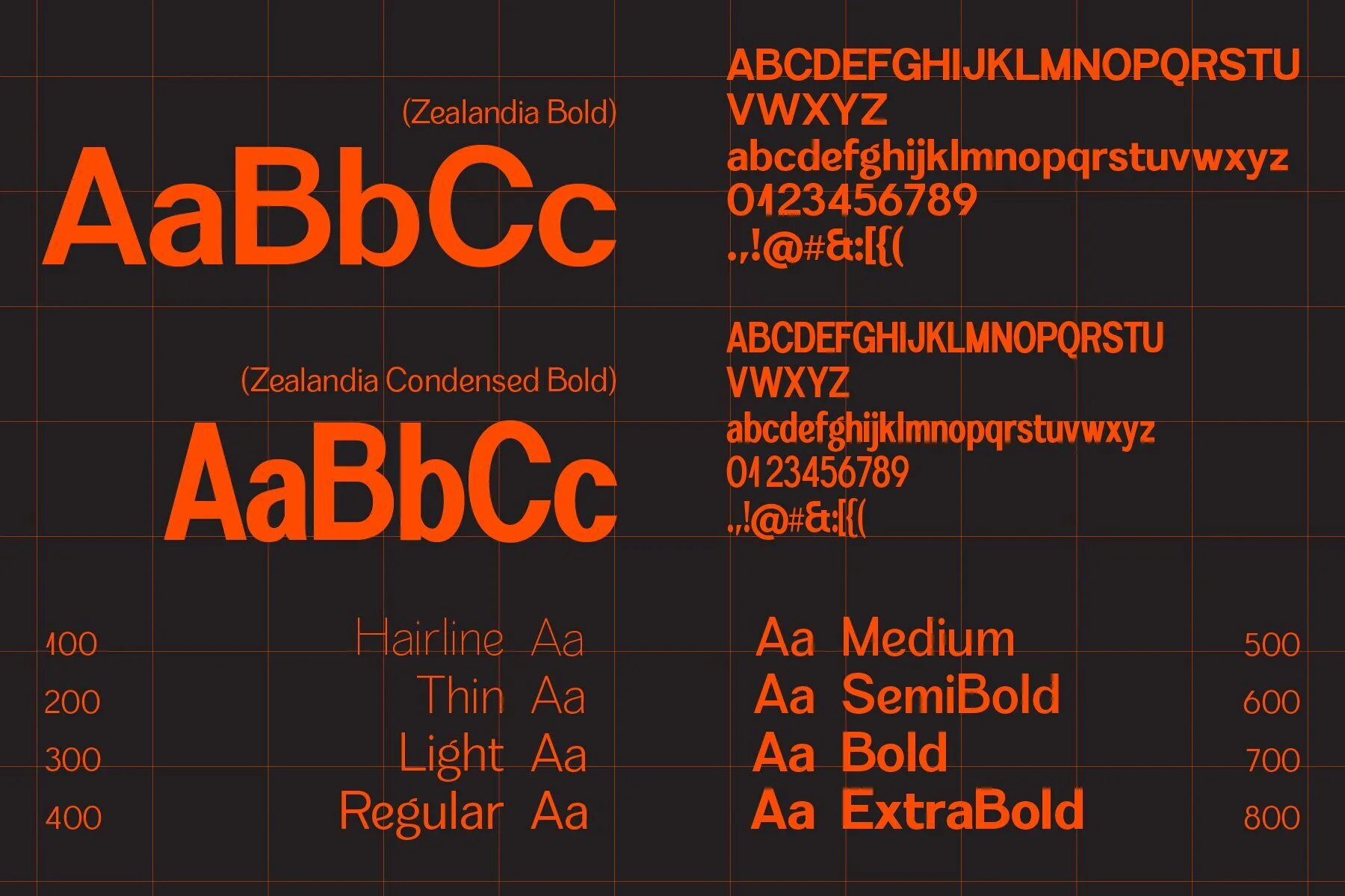 Zealandia Font: Merging Practicality and Passion in Digital Design ...